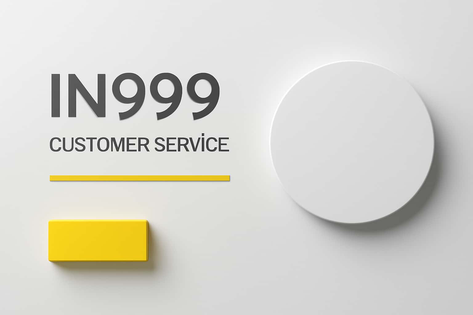 IN999 Customer Service Interface